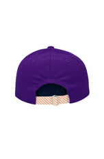 Officially Licensed Clemson Baseball Hat (Youth)