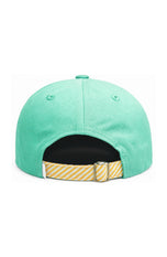 Triceratops Baseball Hat