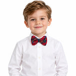 Plaid Bow Tie in Scottie Stewart