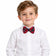 Plaid Bow Tie in Scottie Stewart