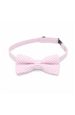 Seersucker Bow Tie