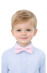 Seersucker Bow Tie