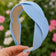 Seaside Waves Headband